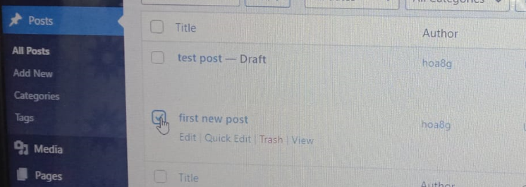 wordpress ke post ko edit kaise kare
