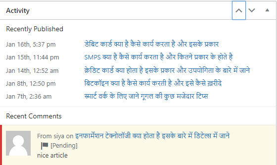  wordpress dashbaord Activity 