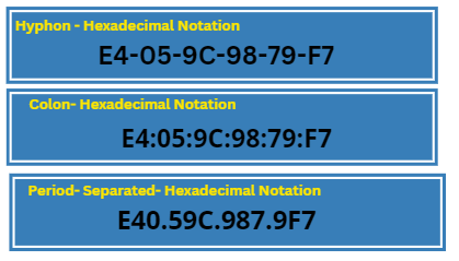 Format of MAC Address 