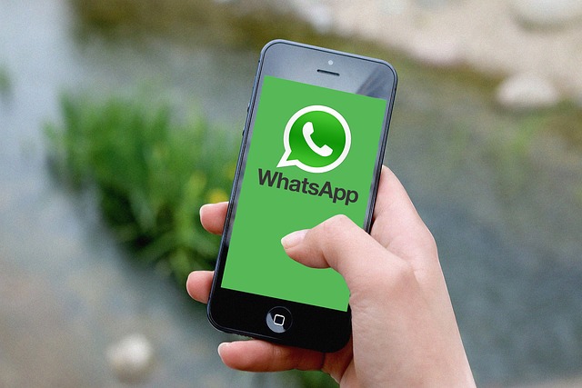 You are currently viewing WhatsApp यूजर Voice रिकॉर्डिंग को Status में कैसे लगाए