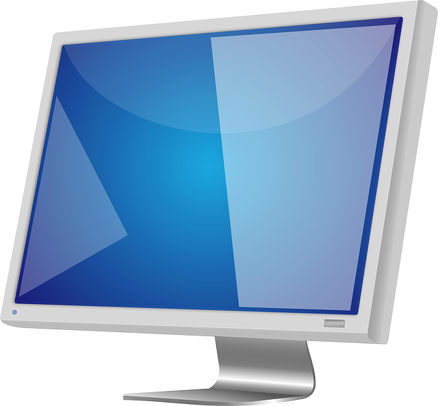 computer monitor
