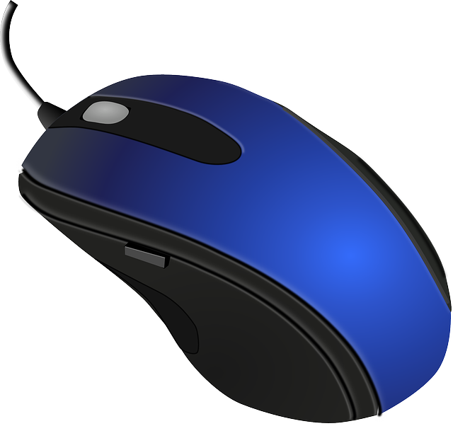 computer mouse
