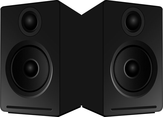 computer speaker
