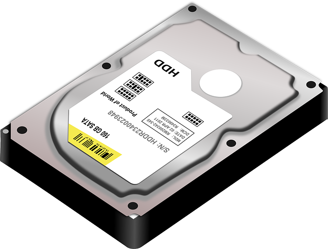 Hard Disk Drive (HDD)