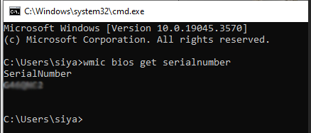 Get computer serial number from command prompt