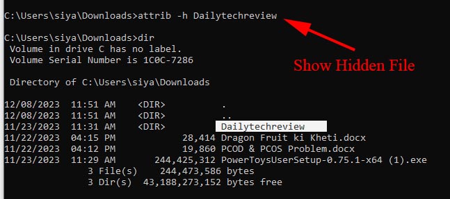 show computer hiddden files from command prompt 