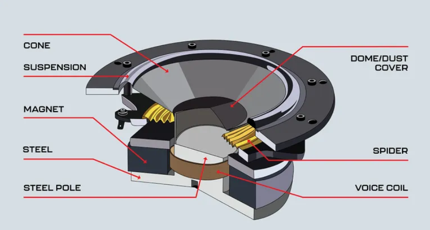Main Components of a Speaker